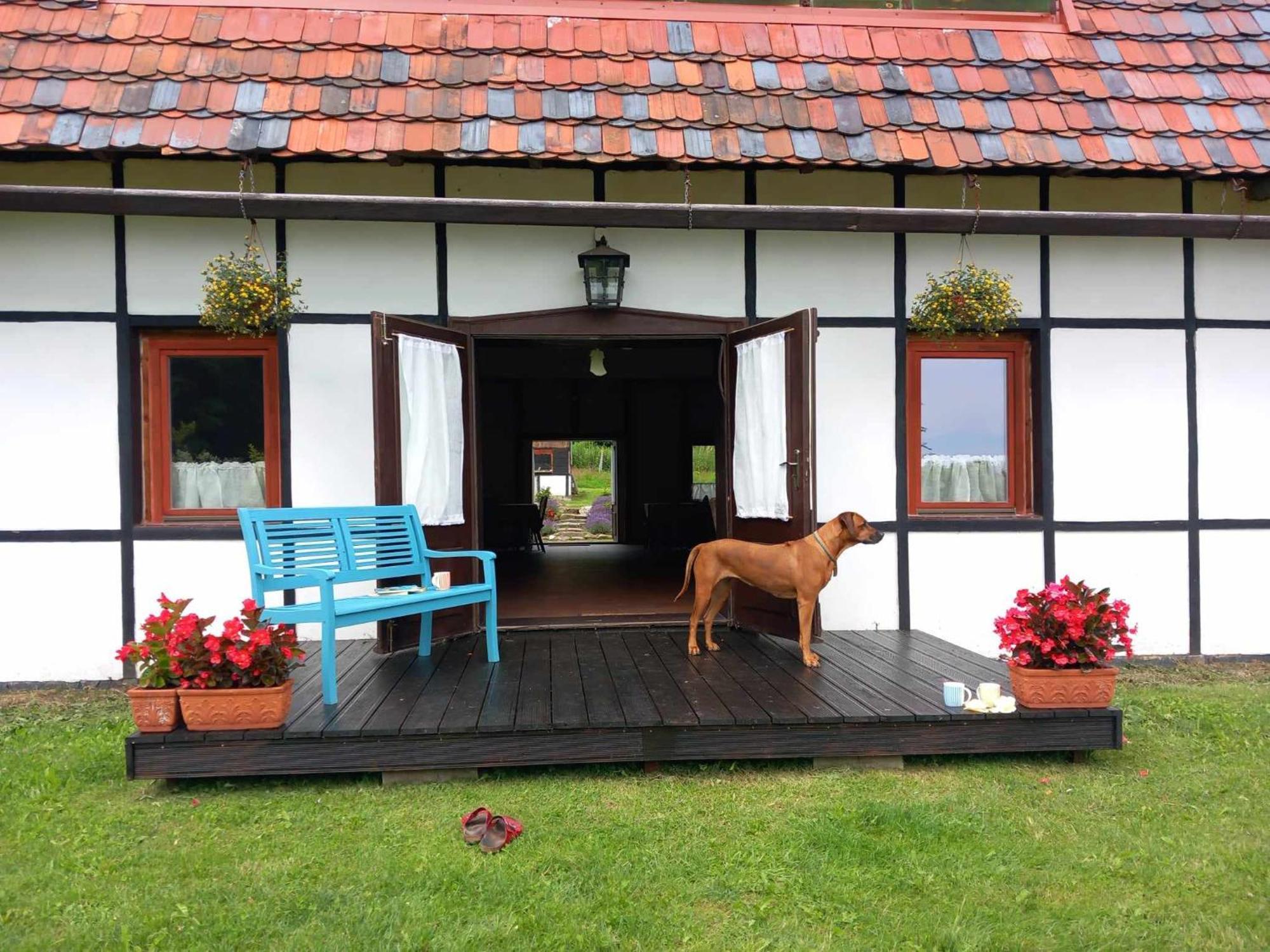 Austeria Staniszow Villa Jelenia Góra Exterior foto